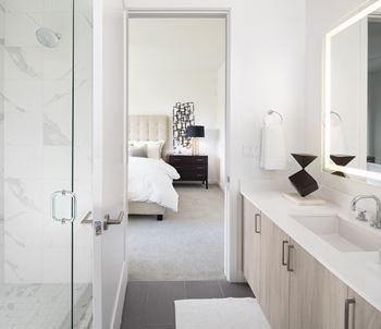 Oversized Walk-in Showers with rain shower heads *